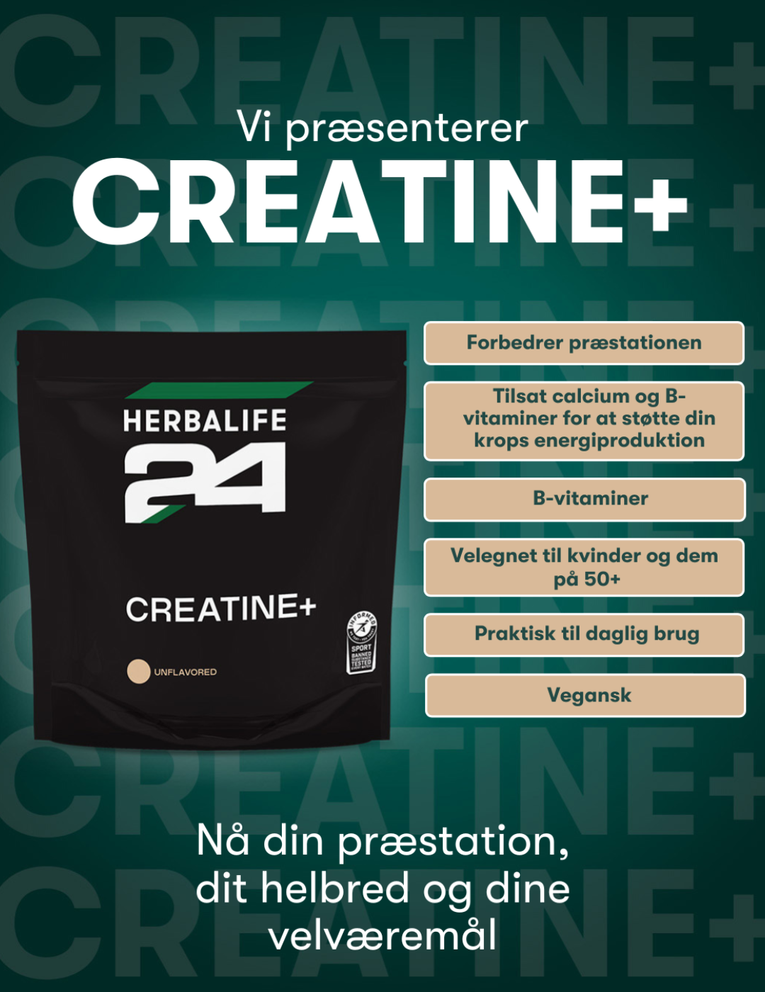 1 96eb209d a52a 4db1 ba3a eb8372b4df51