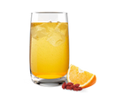 Fibre Concentrate Sweet Orange & Goji Berry 500 ml-3